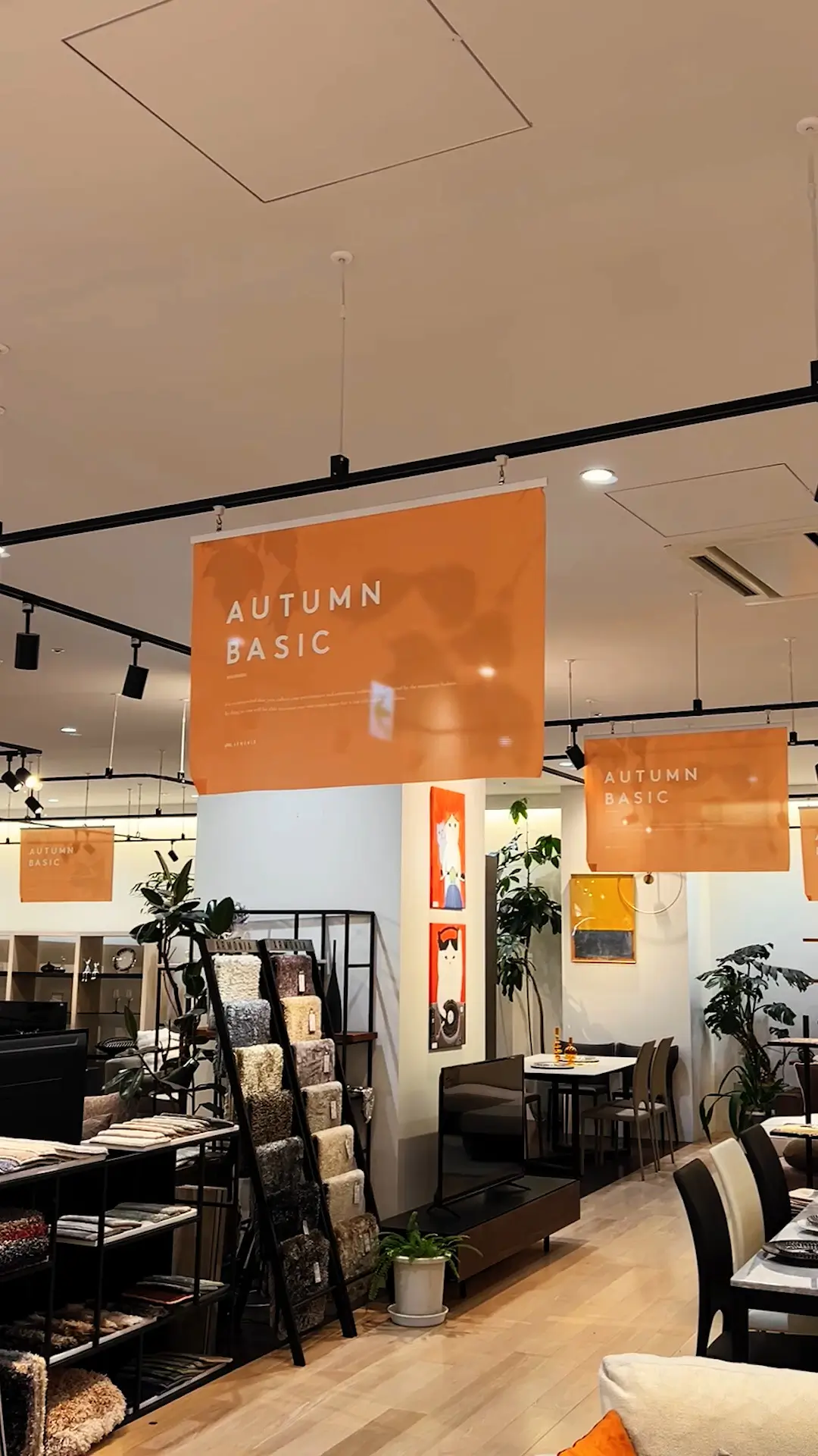 季節のコーディネート